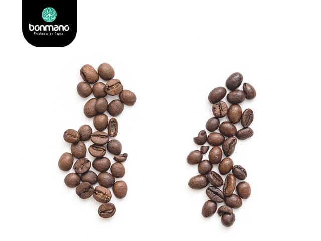 تفاوت طعم و عطر قهوه عربیکا و روبوستا